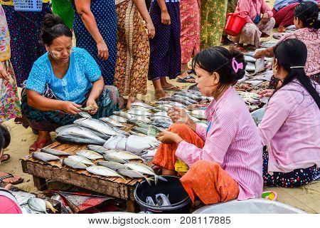 Dawei Myanmar - July 12 2015: Fresh market where sellers and buyers meet to sell and buy fresh and raw food in Dawei Myanmar