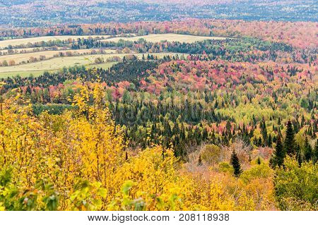 Fall Colours From Mount Megantic (eastern Townships, Quebec, Canada)