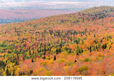 Fall Colours From Mount Megantic (eastern Townships, Quebec, Canada)