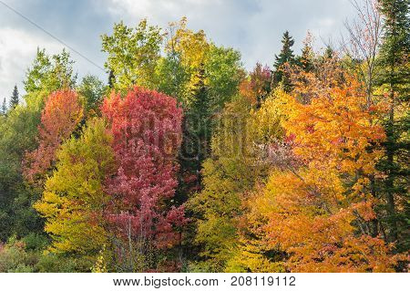 Fall colours in the Eastern Townships in Quebec Canada.
