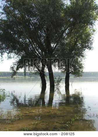 Břeh řeky