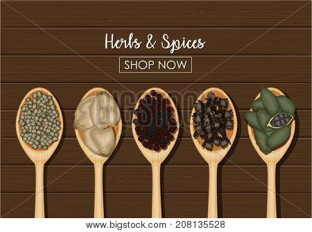 Vector illustration of Spices in wooden spoons over wooden background