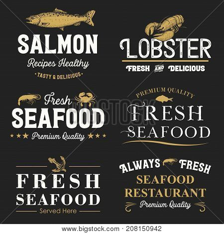 Collection of retro seafood labels and badges, Vector