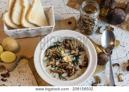 creamy soup of forest mushrooms, dill, eggs and cream - Kulajda