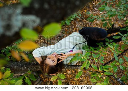 Young woman sitting in a tree, on a branch in the autumn seaston at sunset, talking on her smart phone, smiling and looking relaxed in nature