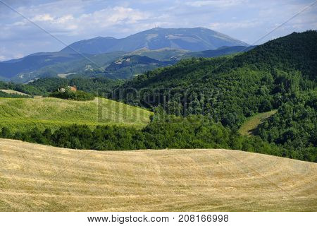 Summer landscape along the road from Lunano to Urbania (Montefeltro Pesaro Urbino Marches Italy)