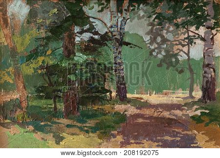 Alley in the park among the different trees. Sunny day for a walk. Different types of trees, textures
