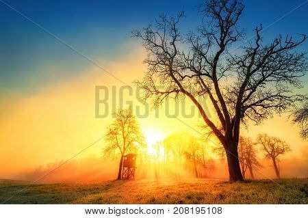 Colorful dramatic sunrise in idyllic rural landscape with tree silhouettes and wafts of morning mist