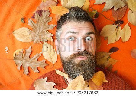 Hipster or bearded guy in autumn on orange background. Floral fashion and beauty. Season and autumn. Man with long beard in natural yellow fall leaves. leaves background at barber and hairdresser.