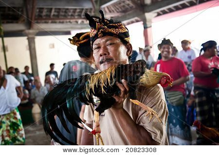 GIANYAR, BALI, INDONESIA - 21 maggio: Abitante del villaggio non identificato Visualizza suo gallo prima che la lotta al th