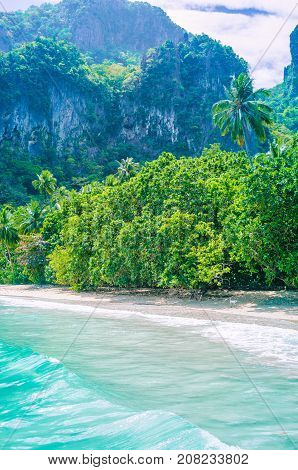 Rocky coastline and vegetation of Cadlao Island, El Nido, Palawan, Philippines.