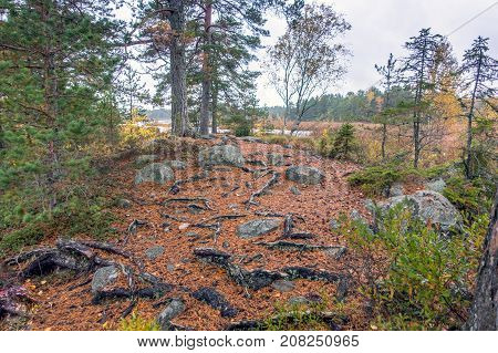 Lake Bruksdammen