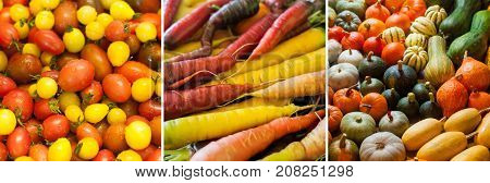 Multi-colored mixed vegetables: cherry tomatoes pumpkins and squashes carrots. Background texture. Healthy vegan food. Autumn thanksgiven harvest.