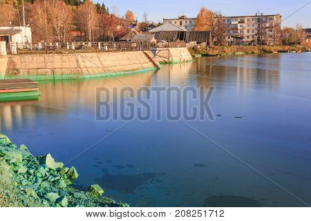 The Shore Of A Pond Infected With Cyanobacteria
