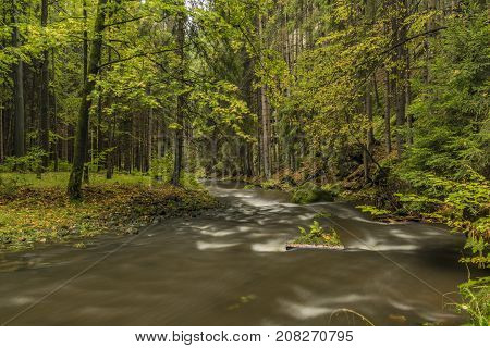 Chribska Kamenice River In National Park Ceske Svycarsko In Autumn Morning