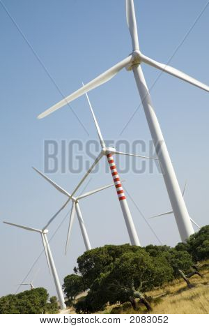 Turbine eoliche