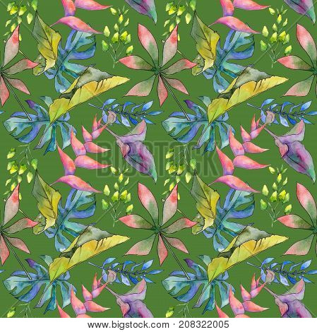 Tropical Hawaii leaves pattern in a watercolor style. Aquarelle wild flower for background, texture, wrapper pattern, frame or border.