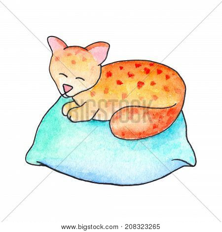 Cat on pillow by watercolors on white background. Cute kitten handdrawn illustration. Orange kitty sleeps on blue pillow. Domestic animal character watercolour drawing. Friendly cat icon. House cat