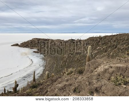 Inkawasi Island in Uyuni. Bolivia, south America