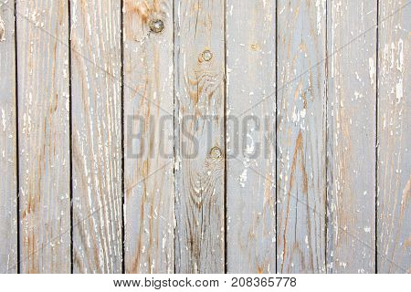 Old aged wooden gray white texture (surface) planks with peelling paint.