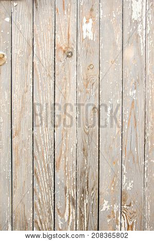 Old aged wooden gray white texture (surface) planks with peelling paint.