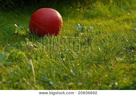 ball in the grass
