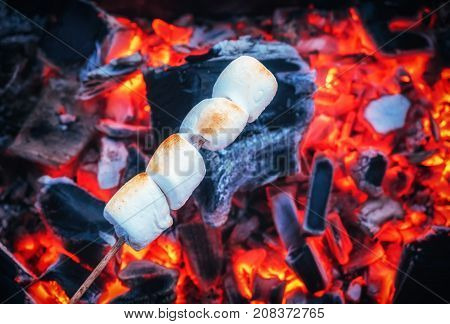 Set of sweet marshmallows roasting over red fire flames. Marshmallow on skewers roasted on charcoals.