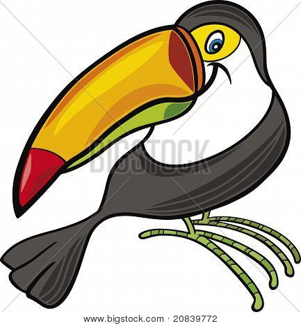 Cartoon Toucan