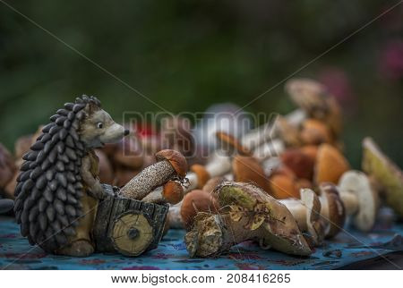 Autumn. Forest. Still life. Hedgehog and mushrooms. Food. Harvest.