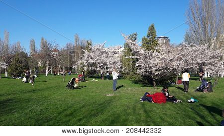 BUCHAREST, ROMANIA - APRIL 15:  People in the park in a sunny spring day Bucharest, Parcul Copiilor Park