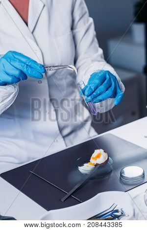 Food Safety, Woman Examining Egg In The Lab, Toned Image