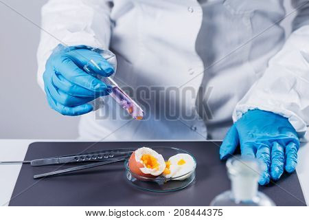 Food Safety, Woman Examining Egg In The Lab, Toned Image