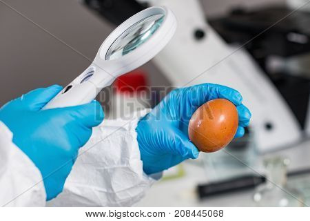 Food Safety, Woman Examining Egg In The Lab, Toned Image