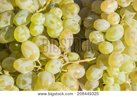 Green And Black Sweet Grape Fruit, Healthy Fruit