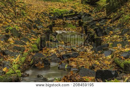 Stone Trough Near Chribska Kamenice River In National Park Ceske Svycarsko In Autumn Morning
