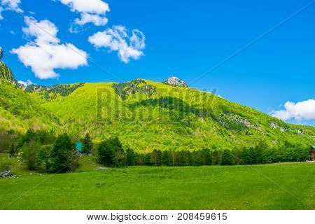 Picturesque Meadows And Forests Are Located Among The High Mountains.