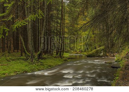 Chribska Kamenice river in national park Ceske Svycarsko in autumn morning