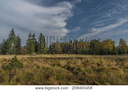 Blue morning near Kladska pond in autumn time with fog