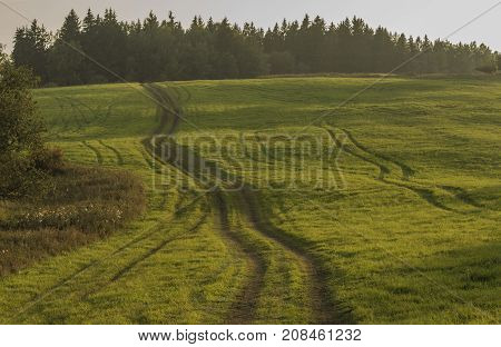 Path and field in color evening in Slavkovsky les national park in autumn time