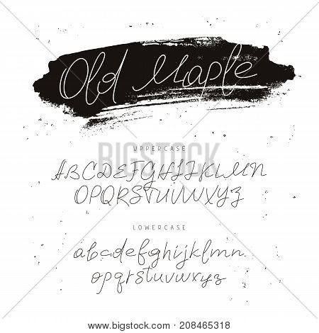 Fashionable modern font. Vector alphabet on white background. Letters drawn by hand with a brush. Calligraphy and lettering.