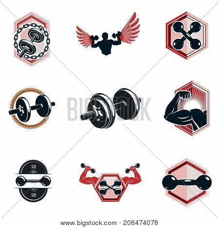 Set of vector heavy load theme illustrations created with dumbbells and disc weights sport equipment. Strong man perfect body.