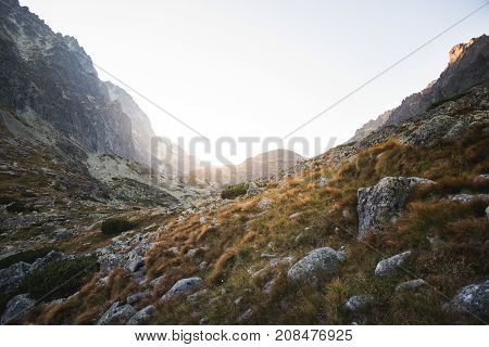 Mountain Landscape with Rocks and Plants in Foreground at Sunset. Velicka Valley High Tatra Slovakia.