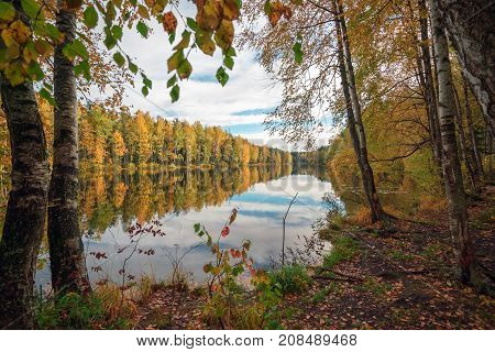 Trees reflected in the blue lake . Autumn landscape