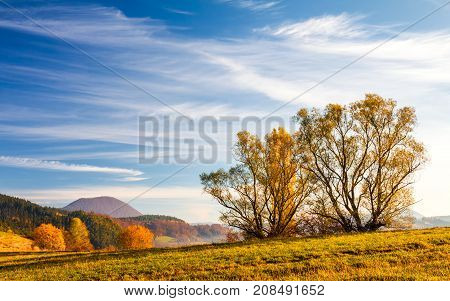 Autumn Mountainous Landscape With Trees In The Foreground, North