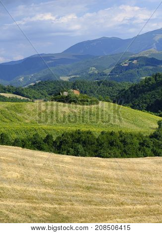 Summer landscape along the road from Lunano to Urbania (Montefeltro Pesaro Urbino Marches Italy)