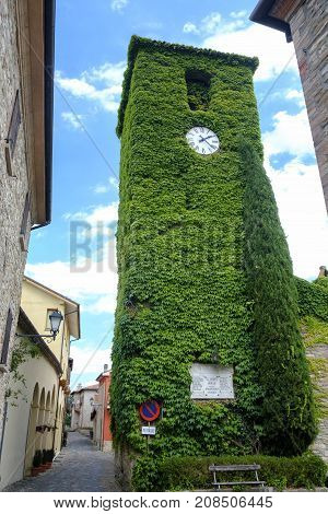 Frontino historic village in Montefeltro Pesaro Urbino Marches Italy). A street with the typical houses with plants and flowers and a tower covered by creeper plants