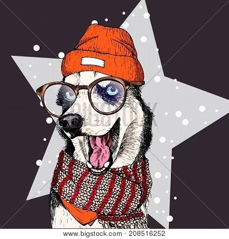 vector portrait of Siberian husky dog wearing beanie, glasses and scarf. Isolated on star and snow. Skecthed colored illustraion. Christmas, Xmas, New year. Party decoration, promotion, greeting card.