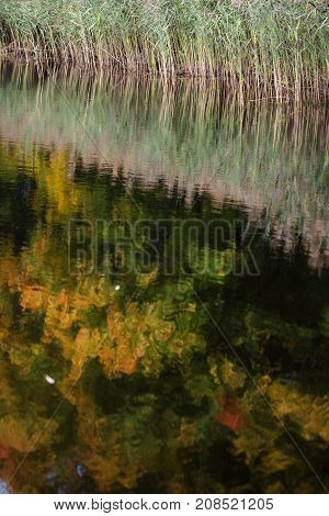 Reflection Of Autumn Forest In The Lake.