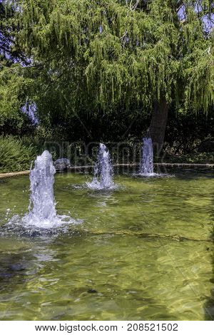 Basin with three fountains under willowy green tree in the park vertical
