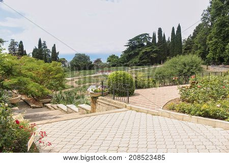 Landscape design of the Nikitsky garden.
Lush vegetation of the Nikitsky Botanical Garden in the Crimea.